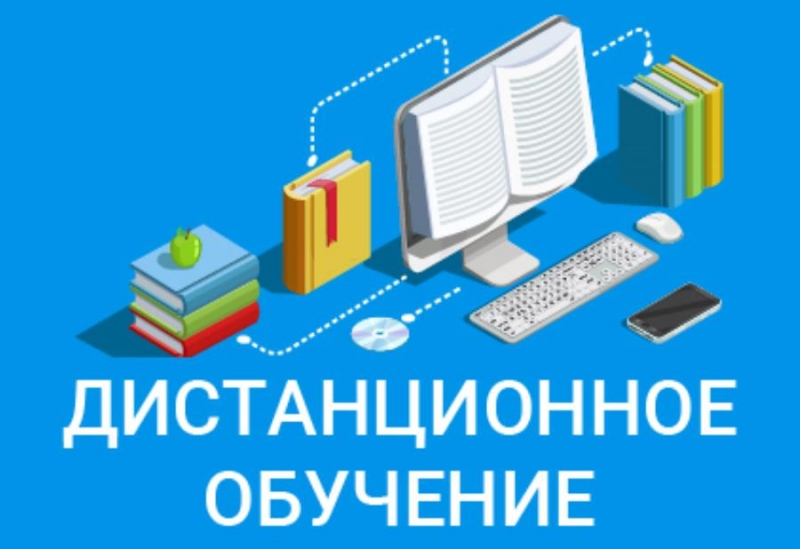 Дистанционное и электронное обучение в частной школе