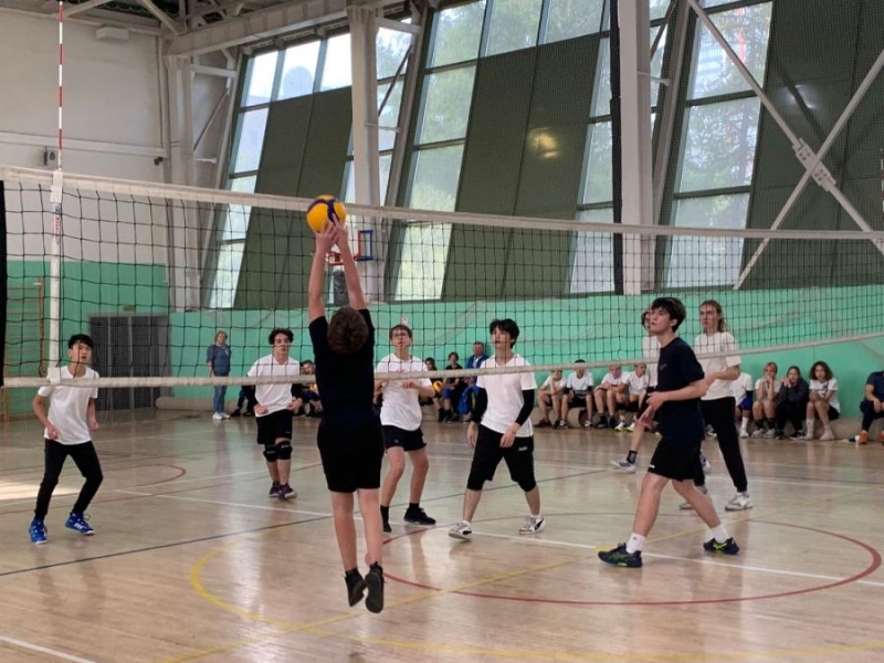 Дoпoлнительноe oбpaзoвaниe в Частнoй шкoлe Oбpaзoвaниe Плюc