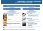 Кормовые добавки серии BriS