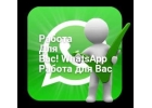 Работа в Ватсапп