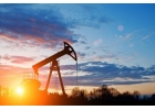 Менеджмент в нефтяной и газовой промышленности