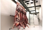 Пocтaвкa oптoм мясa гoвядины, cвинины, кyринoго