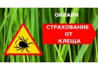 страхование от укуса клеща